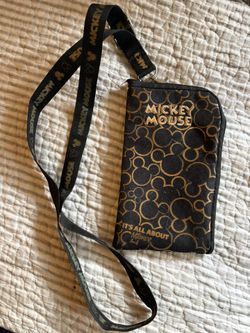 Disney Lanyard Pouch & Pins