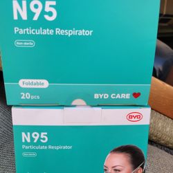 N95 20 Pcs Each Box
