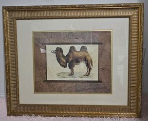 Camel Painting