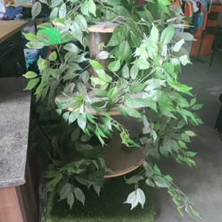 Big Cat Tree