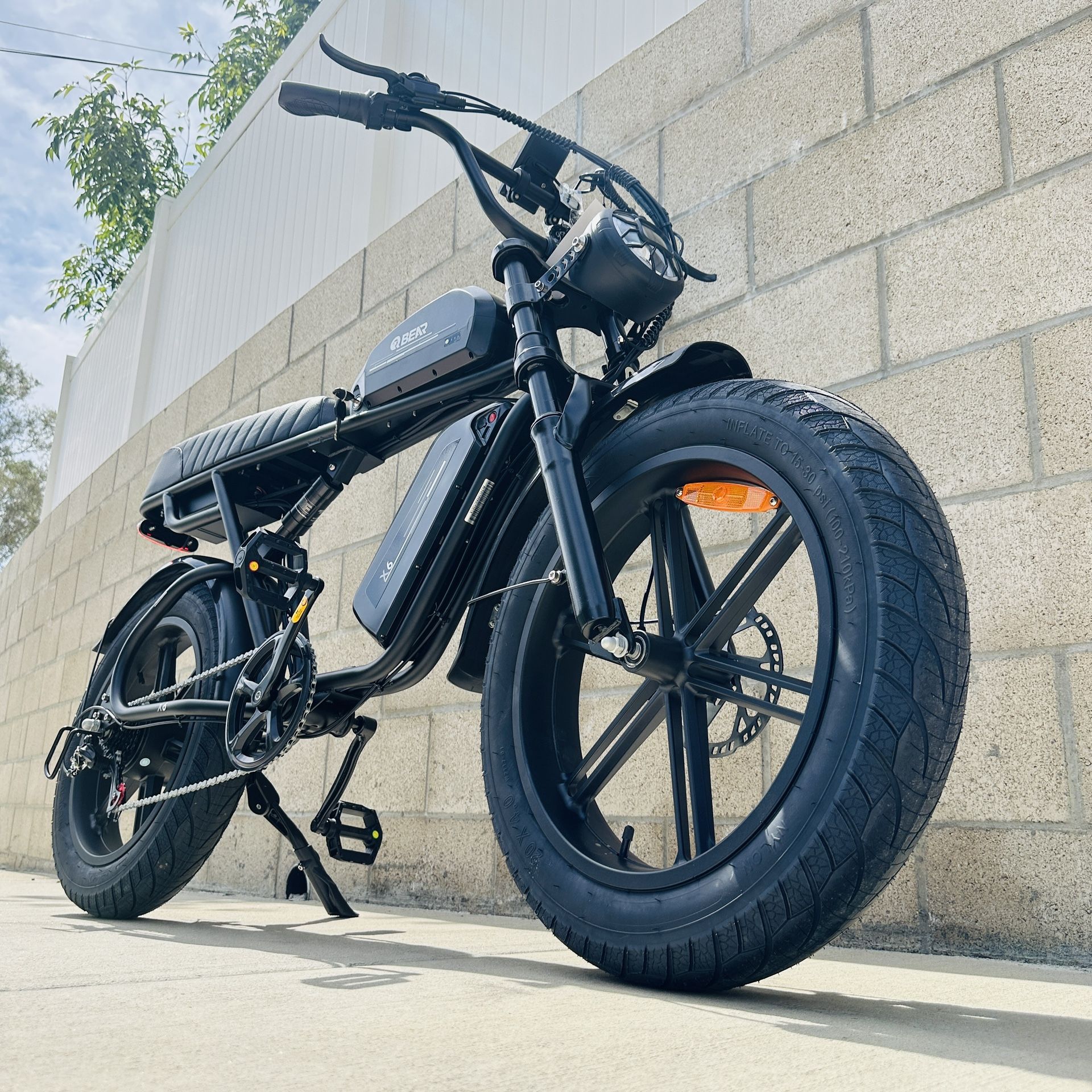Electric Bike