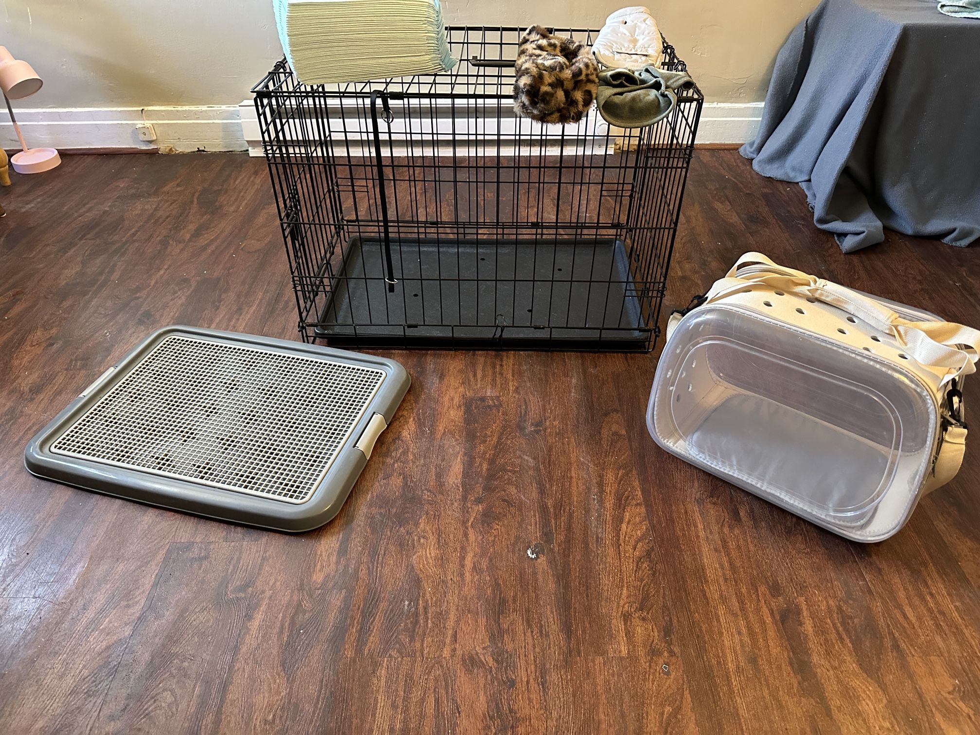 Puppy Starter Kit