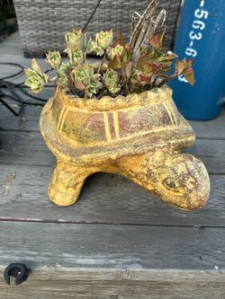 Turtle Planter Pots
