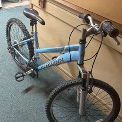 Blue Schwinn Bike 