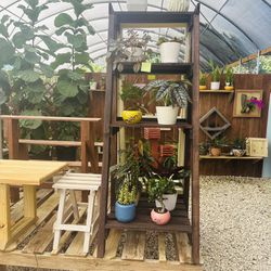 Modern Ladder Plants Shelf