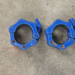 Lockjaw Collars Cash or Zelle 