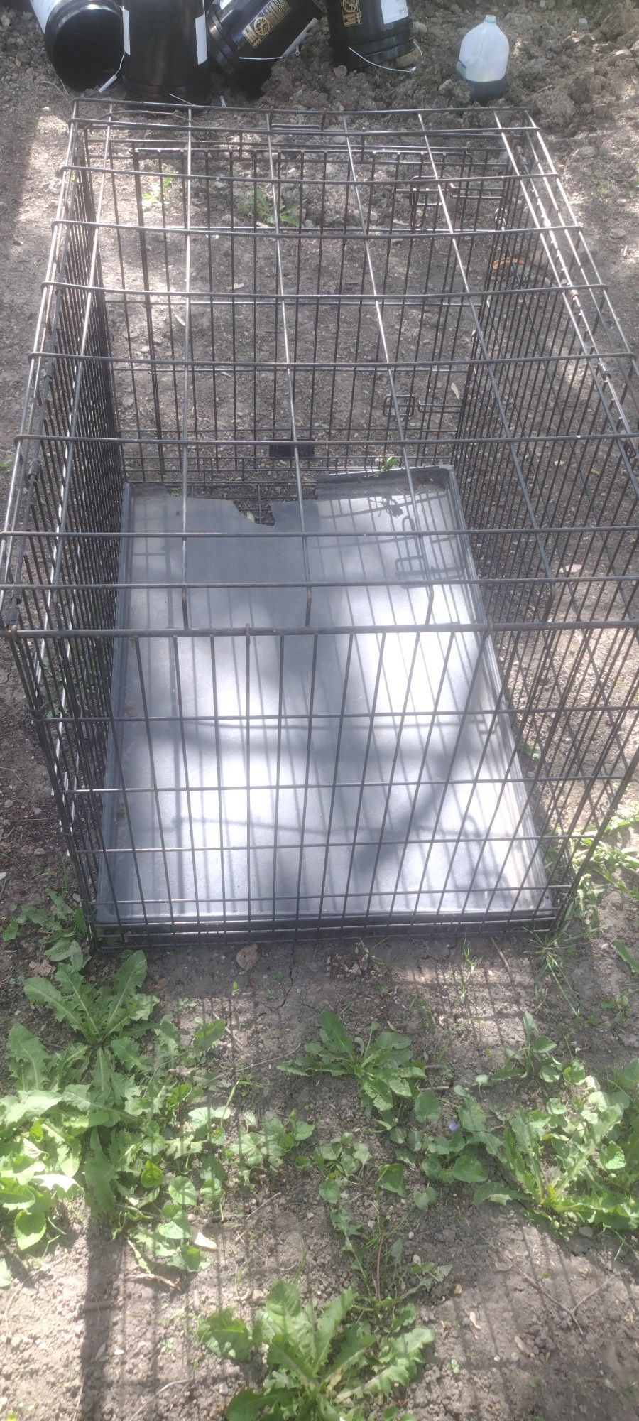 Dog Case