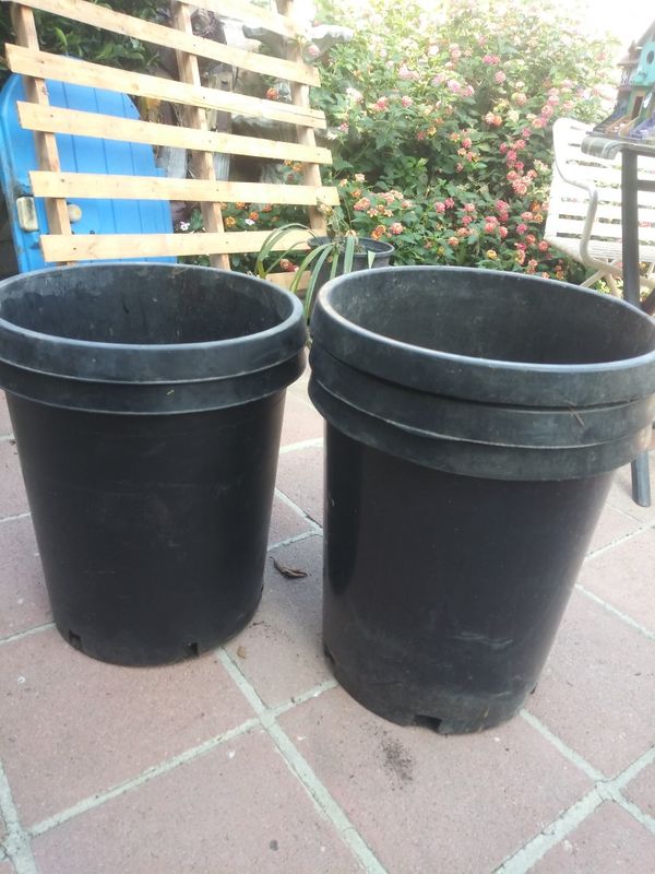 15gallon pots for Sale in Los Angeles, CA OfferUp