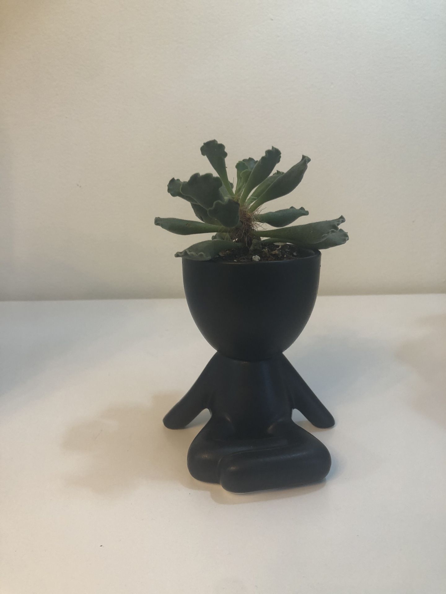 Pot Head Ceramic Succulent Planter