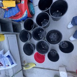 12 Maceteros Medianos 12 Flor Pots