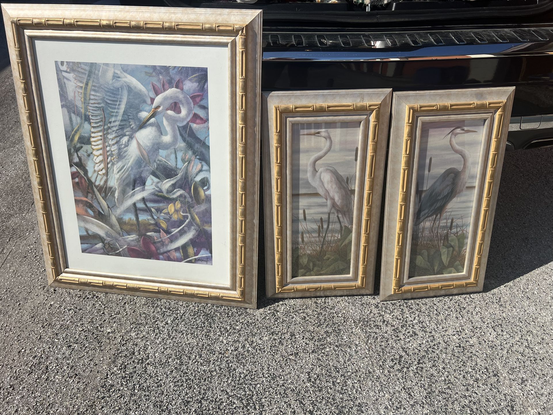 beautifully framed bird artwork