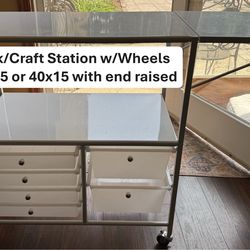 Desk/Craft Station with Wheels