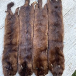 Mink Hides