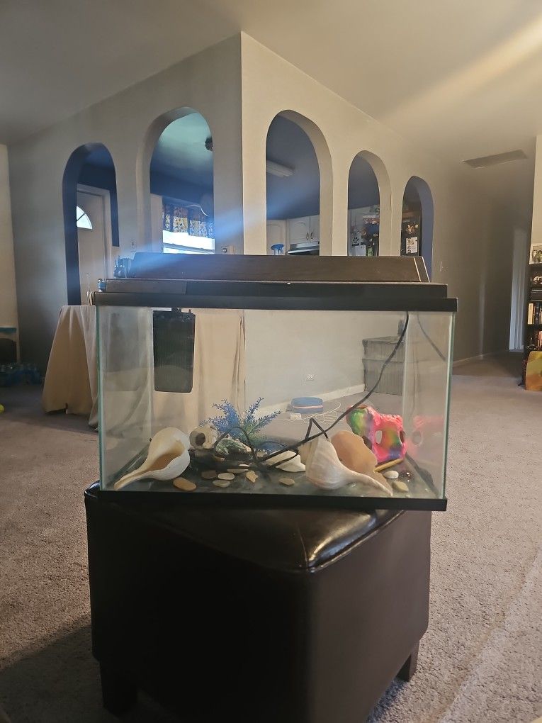 Fish Tank With Acessories 