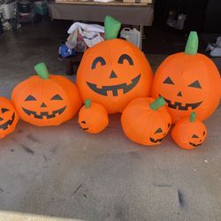 Halloween Pumpkins.       20 Dollars 