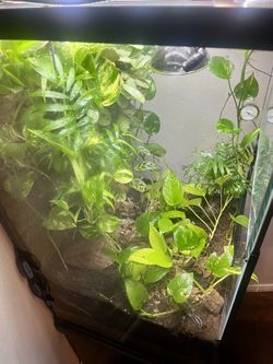Reptile Enclosure 60 Gallon