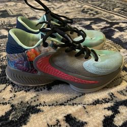 Size 4.5Y Nike Zoom Freak 4 SE Family (see all pictures)