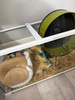 Cage for Hedgehogs