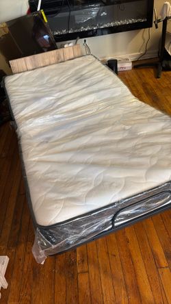 Fold Cot Twin Bed
