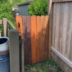 Gate With Exotic Wood