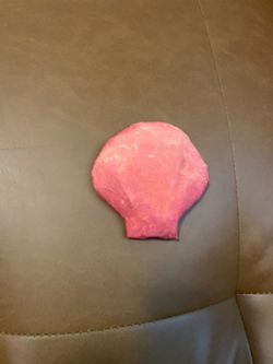 Cardboard Seashell
