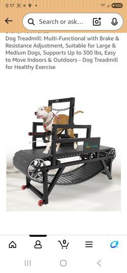 Dog treadmill