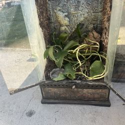 Exo Terra Zoo Med Terrarium Bioactive Gecko 