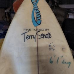 Terry  Senate Short Surfboard 