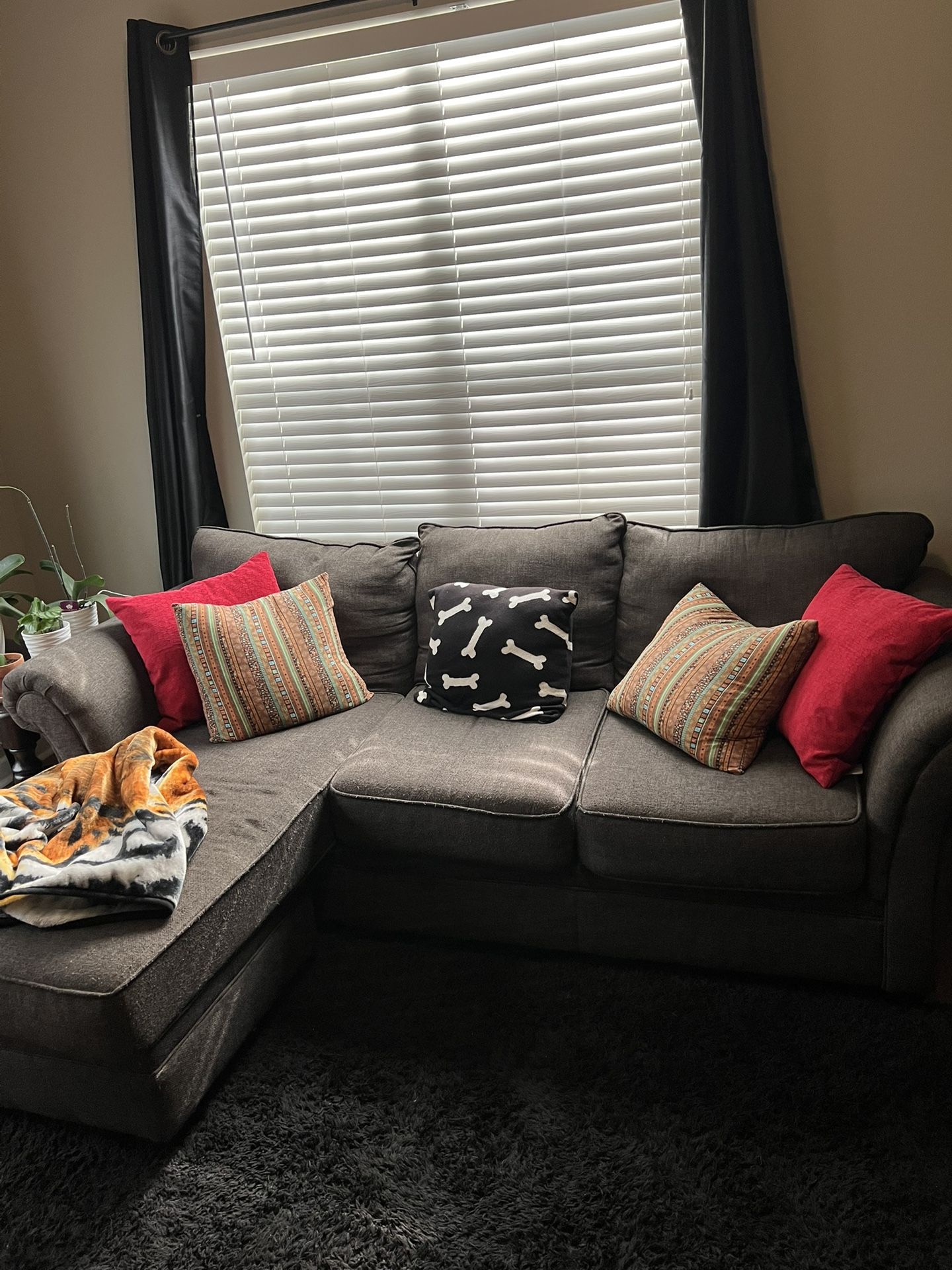 Sectional Couch