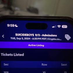 $UICIDEBOYS CONCERT TICKET