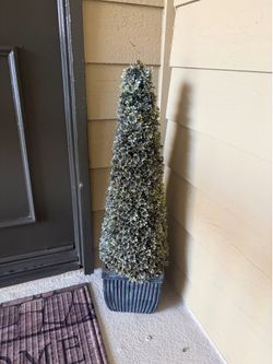 Topiary cone tree