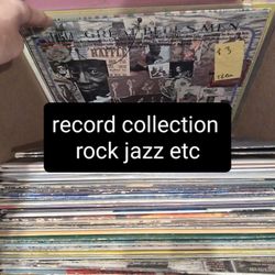 Vinyl Record Collection 