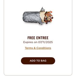 Chipotle Free Double Meat with Guac