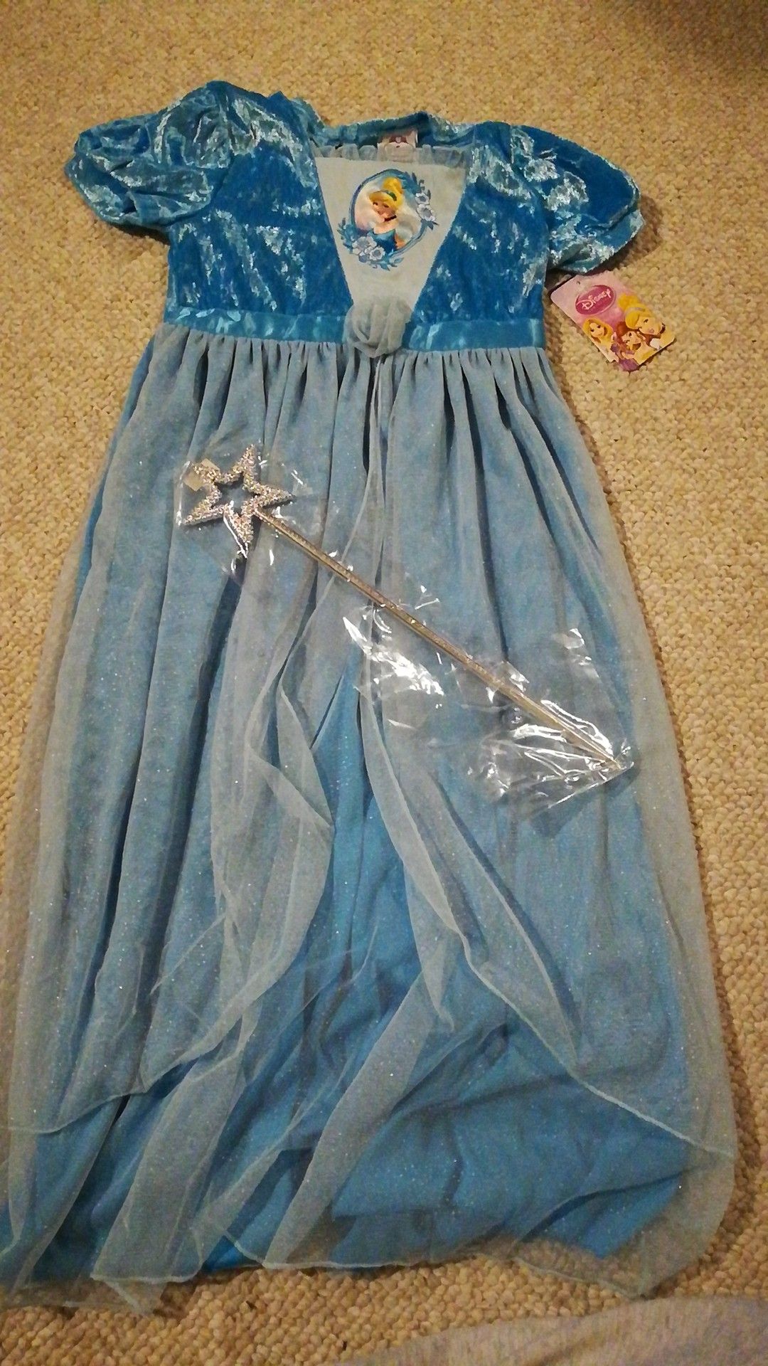 Halloween Costume Disney Cinderella Costume with Wand