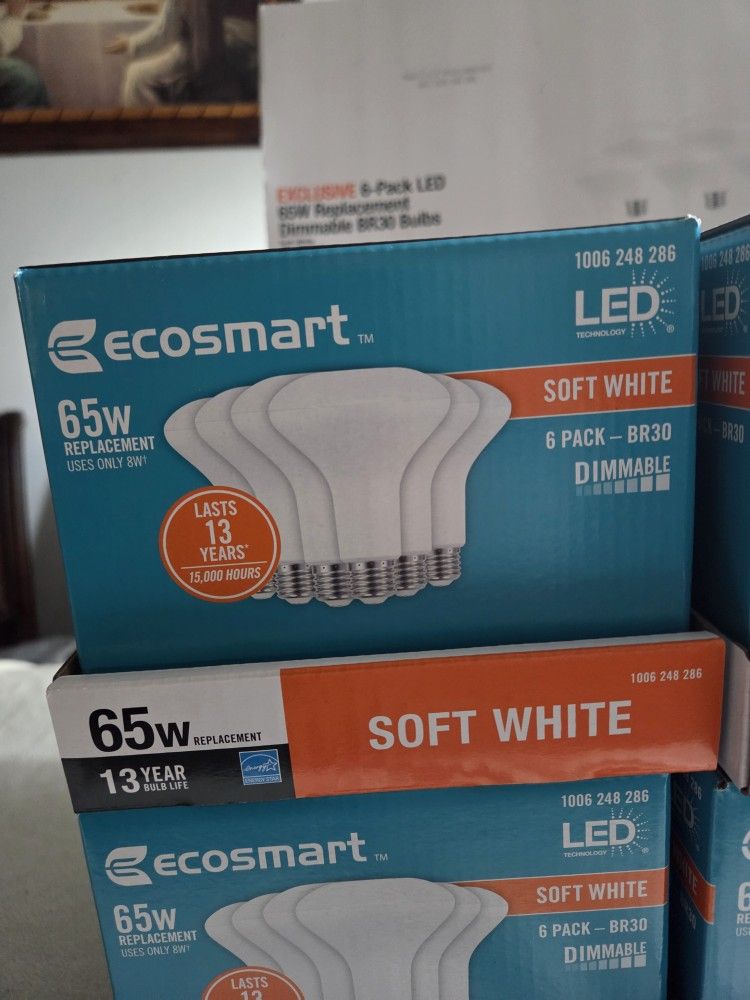 Ecosmart Led Soft White Light