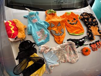 Pet Halloween Costume /pick and choose