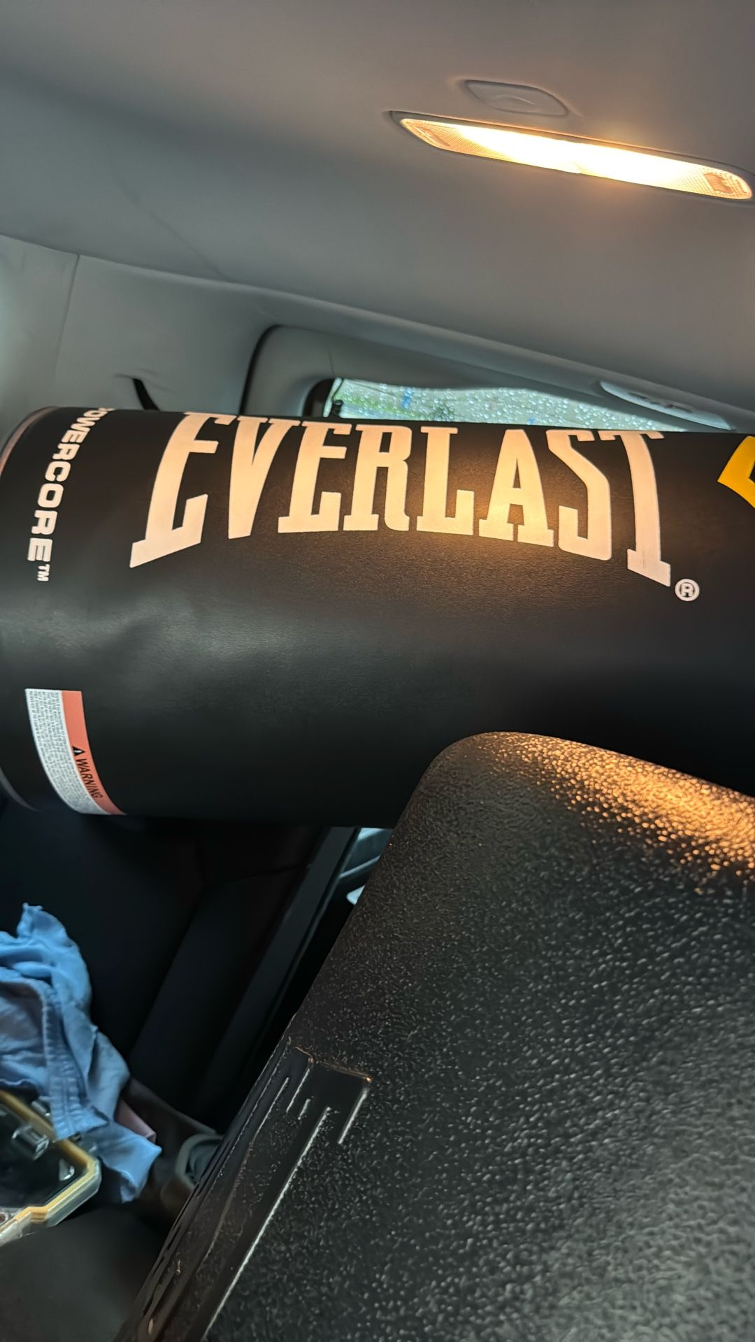 Everlast Punching Bag
