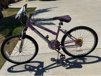 Purple/pink bike (adult)