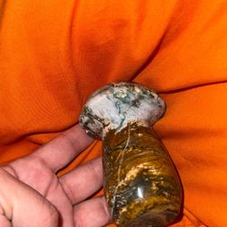 Ocean Jasper Mushroom
