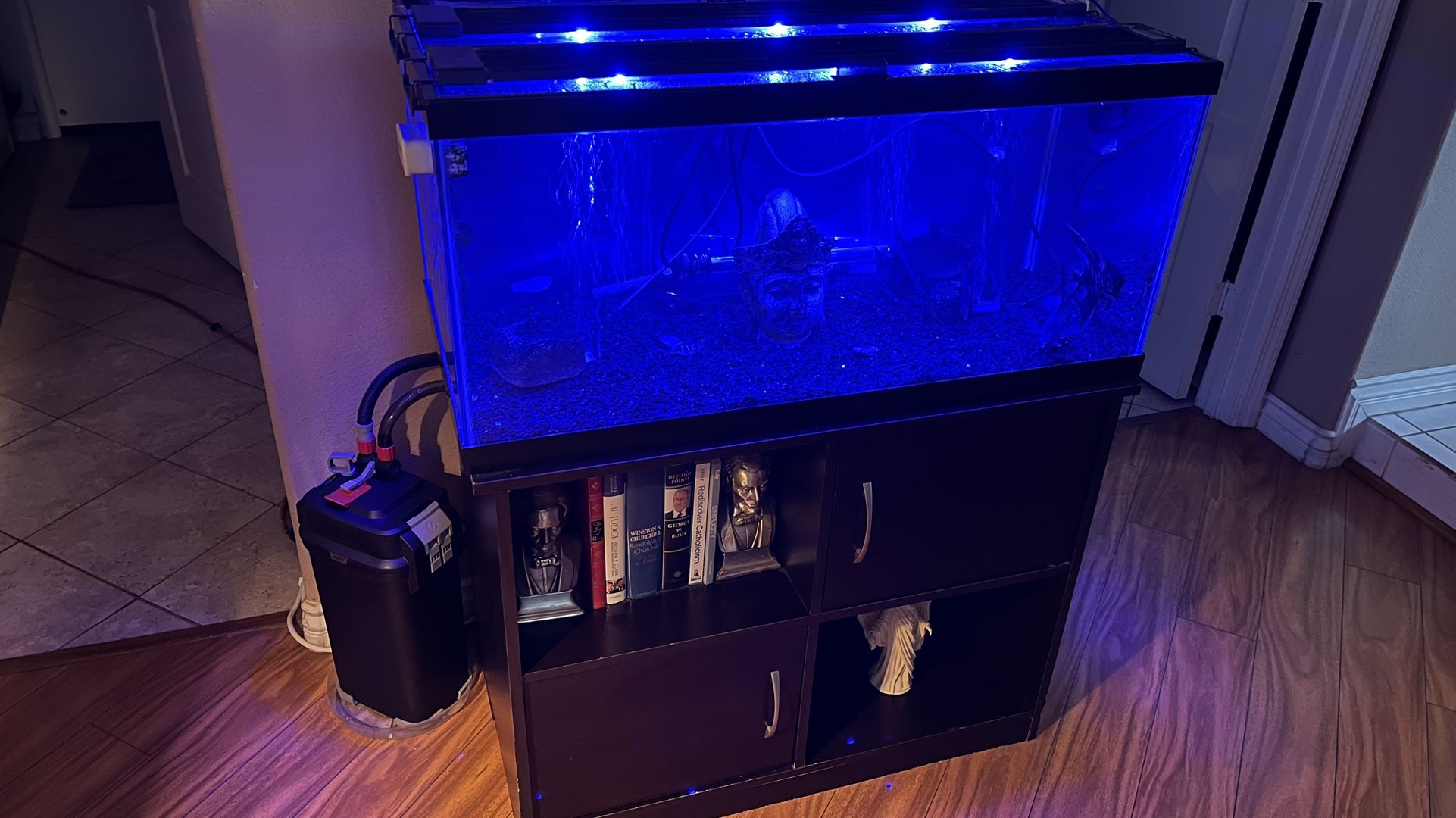 Aquarium/fish Tank & Stand 40 Gallon Breeder Loaded for Sale in