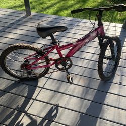 Child Mountain Bike