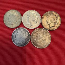 Silver Eagles