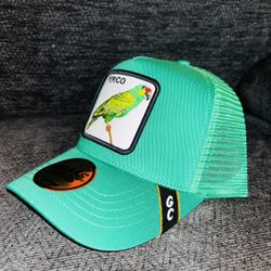 Gorras Nuevas 