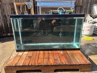 40 gallon fish tank filter heater and custom lid