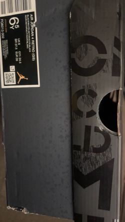 Jordan 4 fears gs