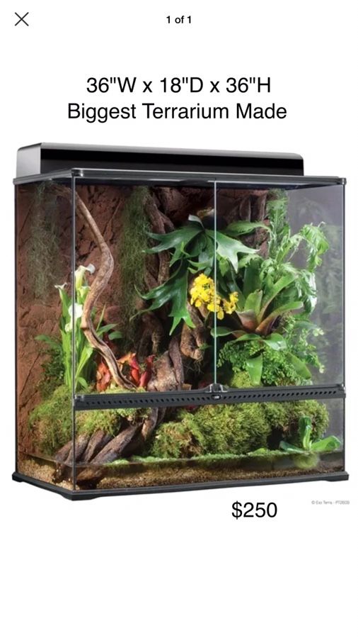 Large Extra Tall Exo Terra Reptile Terrarium Vivarium 36x18x36 Tank aquarium Snake Monitor Lizard