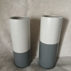 2 Decorative Vases