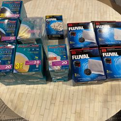 Fish Enthusiasts For 20 Gallon Tank