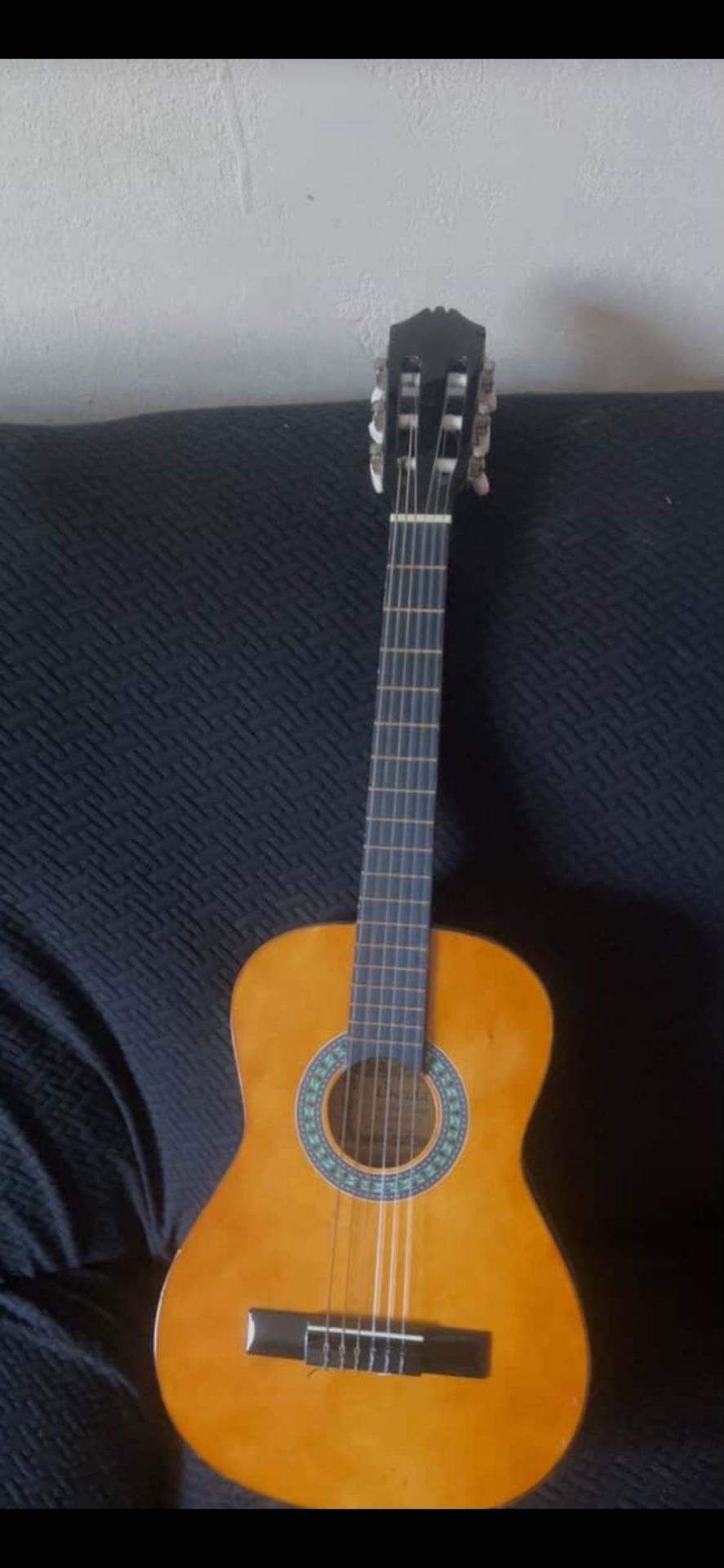 Guitar