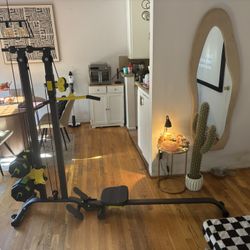 Lat Pulldown Machine And Rower With 90lb+ Weight Set